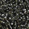 TOHO 6/0 Round Beads SEED-TR06-0029-4