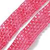 Polyester Elastic Ribbon EW-TAC0001-04B-3