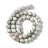 Natural Peace Jade Beads Strands G-G905-07-6MM-3