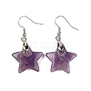 Natutal Amethyst Dangle Earrings EJEW-F343-C09-2