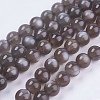 Natural Black Moonstone Beads Strands G-J157-12mm-05-3