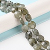 Natural Labradorite Beads Strands G-K357-B03-01-3