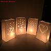 Hollow Candle Paper Bag CARB-WH0007-03-4