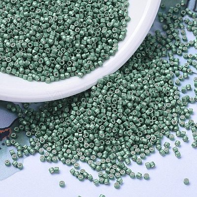 MIYUKI Delica Beads X-SEED-J020-DB1171-1