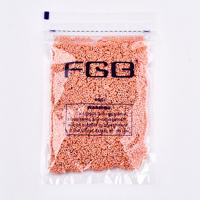 FGB 2-Hole Glass Seed Beads SEED-S031-S-SQ50FR-1