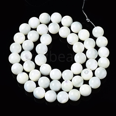Natural Trochid Shell/Trochus Shell Beads Strands SSHEL-S266-023A-03-1