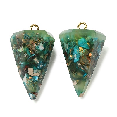 Transparent Resin Natural Imperial Jasper Chips Pendants G-E185-06G-1