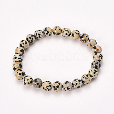 Natural Dalmatian Jasper Beaded Stretch Bracelets BJEW-Q692-51-8mm-1