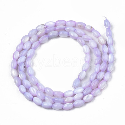 Natural Freshwater Shell Beads Strands SHEL-N003-25-B04-1