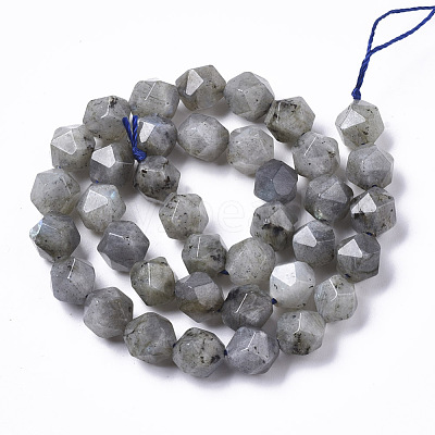 Natural Labradorite Beads Strands G-R465-33C-1