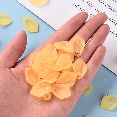Transparent Frosted Acrylic Pendants MACR-S371-03A-719-1