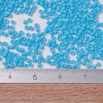 MIYUKI Delica Beads X-SEED-J020-DB0755-1