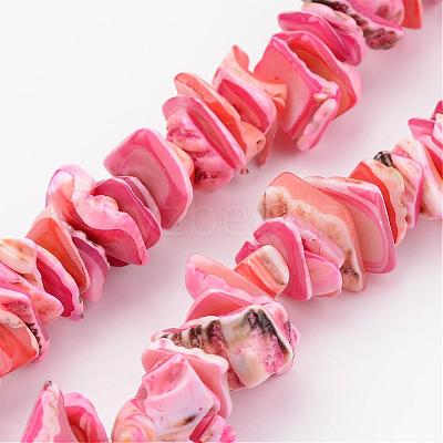 Natural Shell Bead Strands BSHE-P010-M-1