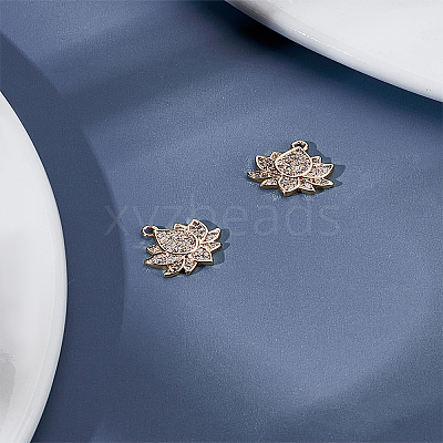 2Pcs Brass Micro Pave Cubic Zirconia Charms ZIRC-LP0001-63-1