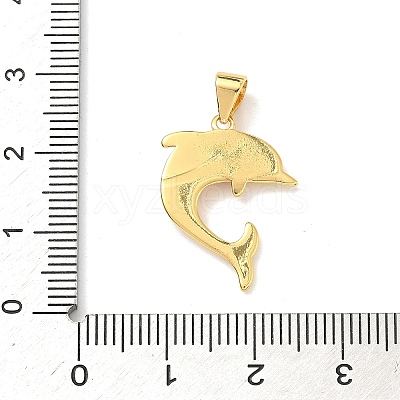 Brass Enamel Pendants KK-H534-01C-G01-1