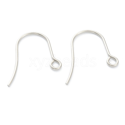 Tarnish Resistant 316 Surgical Stainless Steel Earring Hooks STAS-M288-02P-B-1