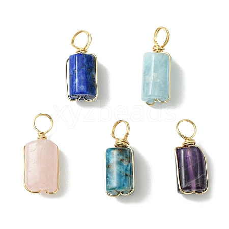 5Pcs Natural Mixed Gemstone Pendants PALLOY-JF03151-1