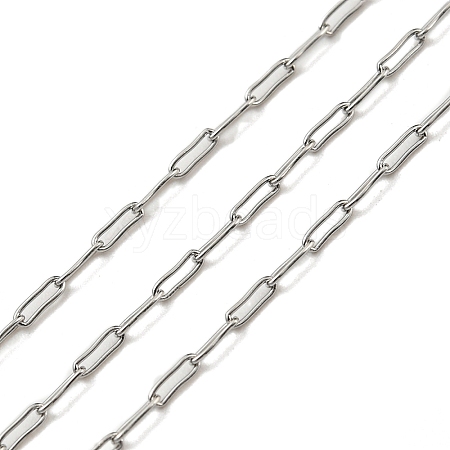 Tarnish Resistant 304 Stainless Steel Chains CHS-E031-01C-P-1