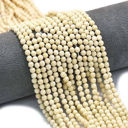 Natural Fossil Beads Strands G-A260-A35-01-1