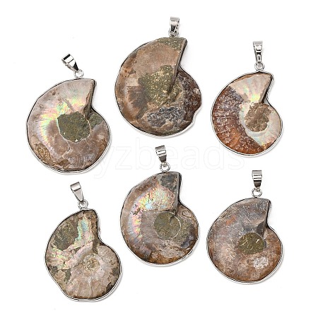Fossil Pendants X-G-D051-1-1