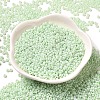 Baking Paint Glass Seed Beads SEED-P006-03A-33-2