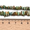Natural HuBei Turquoise Bead Strands G-H345-A01-04-5
