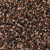 Transparent Glass Round Seed Beads X1-SEED-B001-05A-20-3