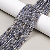 Natural Tanzanite Beads Strands G-C255-A01-3mm-1