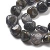 Natural Iolite Beads Strands G-C179-F06-01-4