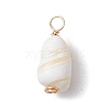 Natural Conch Shell Pendants PALLOY-JF02808-02-3