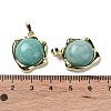 Natural Amazonite Pendants G-G069-01G-04-3