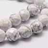 Natural Howlite Beads Strands G-D840-44-6mm-3