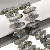 Natural Labradorite Double Terminated Point Beads Strands G-H069-B04-01-2