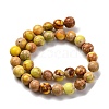 Dyed Natural Regalite/Imperial Jasper/Sea Sediment Jasper Beads Strands G-B124-C02-04-5