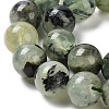 Natural Prehnite Beads Strands X-G-P322-48-10mm-01-4