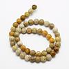 Natural Fossil Coral Beads Strands G-K194-6mm-05-2