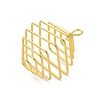 Iron Wire Spiral Bead Cage Pendants IFIN-Q126-01G-2