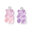 Opaque & Transparent Resin Pendants RESI-XCP0001-91-2