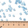 Glass Seed Beads X1-SEED-H002-D-A811-4