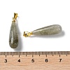 Natural Labradorite Teardrop Pendants G-Q005-03G-07-3