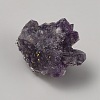 Resin Nuggets Display Decoration G-WH0030-25B-2