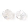 Natural White Shell Beads SSHEL-S260-053-4