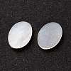 White Shell Cabochons SSHEL-C008-02-3