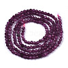 Natural Ruby Beads Strands G-N328-034-2