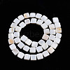 Natural Freshwater Shell Beads Strands SHEL-N026-209-2