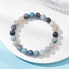 Round Natural Trolleite Beads Stretch Bracelets for Women BJEW-JB12731-1