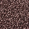 MIYUKI Delica Beads SEED-JP0008-DB2183-3