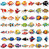 50Pcs Fish PVC Self Adhesive Stickers STIC-P014-04-2