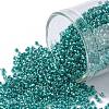 TOHO Round Seed Beads X-SEED-TR15-0377-1