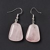 Gemstone Trapezoid Dangle Earrings EJEW-D188-02P-4